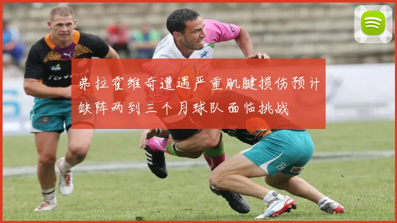 弗拉霍维奇遭遇严重肌腱损伤预计缺阵两到三个月球队面临挑战