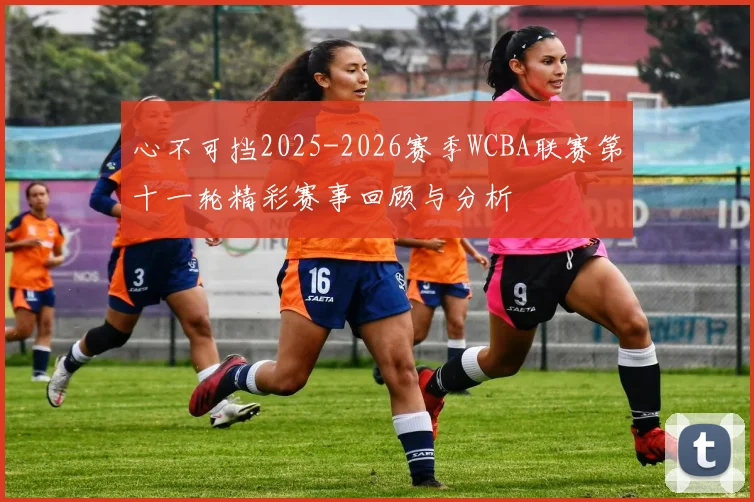 心不可挡2025-2026赛季WCBA联赛第十一轮精彩赛事回顾与分析