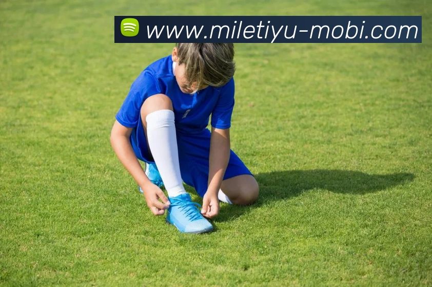 米乐体育发展历程