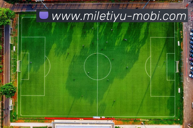 林书豪与家人畅游阿里山共享美丽风景感受大自然的魅力