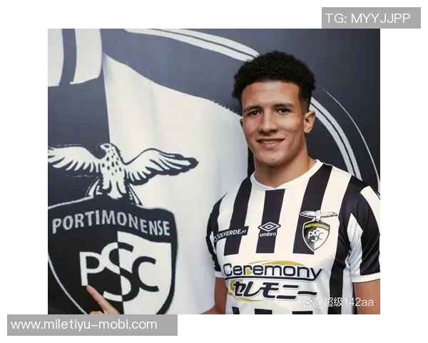 阿莱格里感慨球队遭遇点球判罚时的无奈与困惑